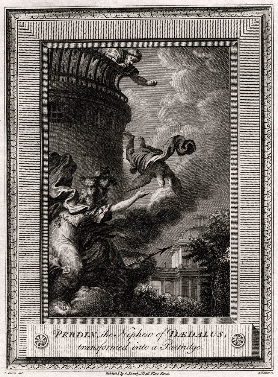Perdix, Daedalus