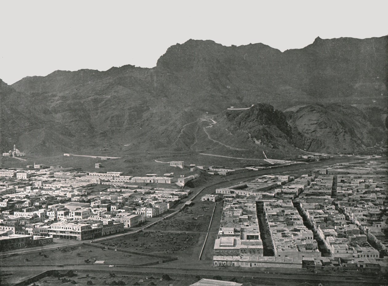 Generel visning, der viser Camel Market, Aden, 1895. af W and S Ltd