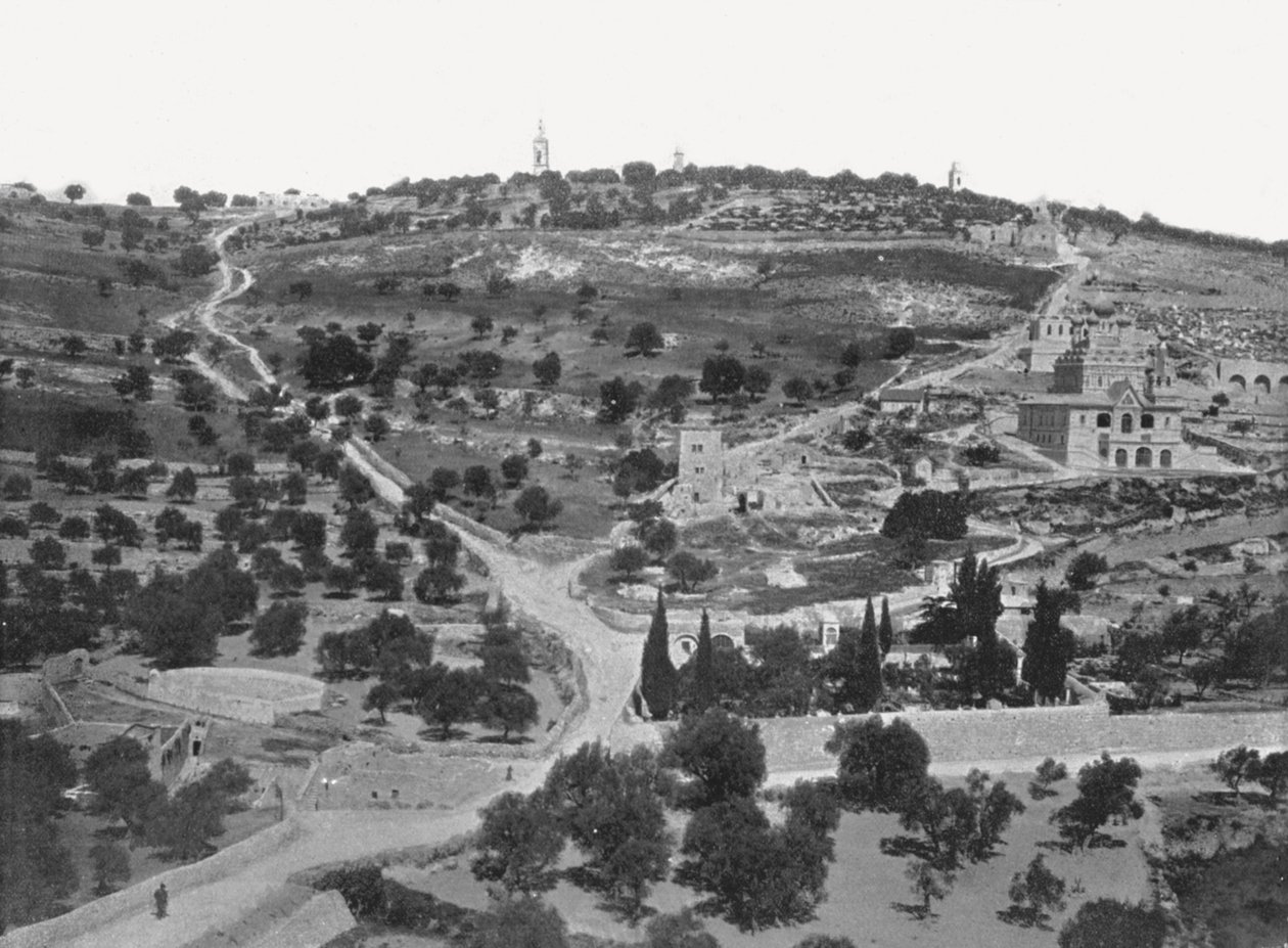 Oliebjerget, Jerusalem, Palæstina, 1895. af W and S Ltd