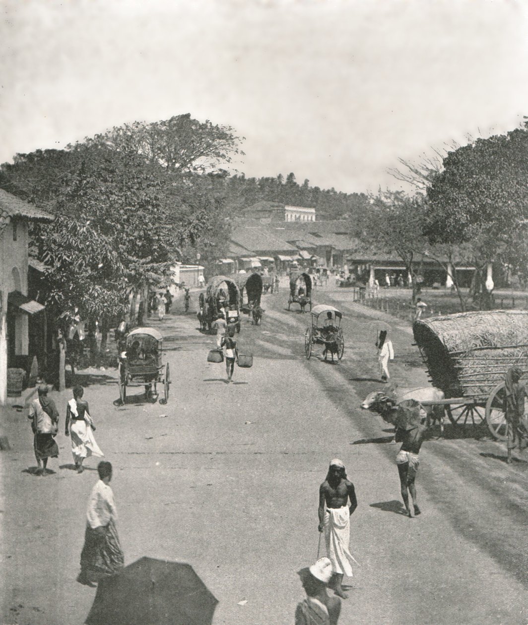 Gadebillede nær rådhuset, Colombo, Ceylon, 1895. af W and S Ltd