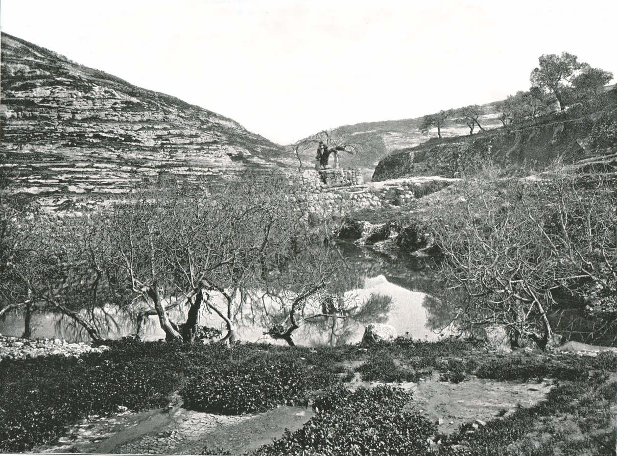 The Pool of Siloam, Jerusalem, Palæstina, 1895. af W and S Ltd