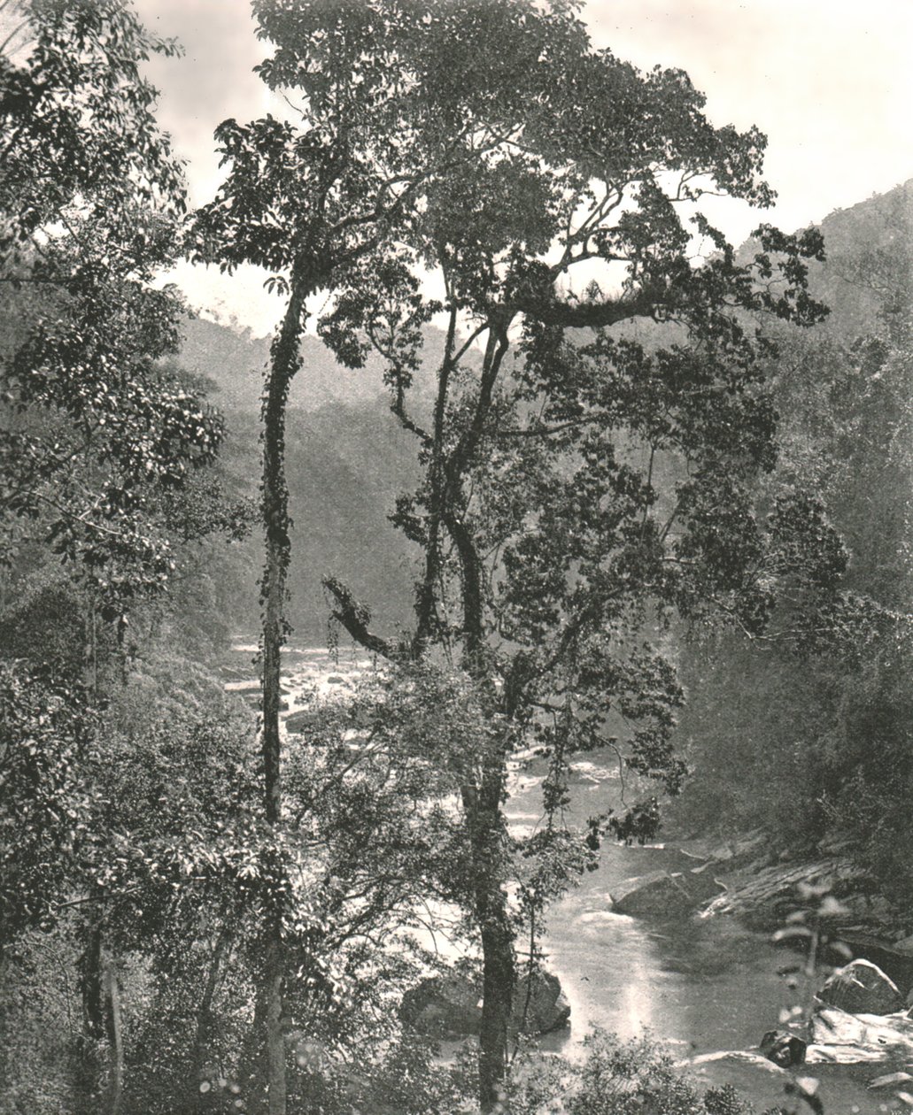 Udsigt over Kelani-floden, Kurunegala, Ceylon, 1895. af W and S Ltd