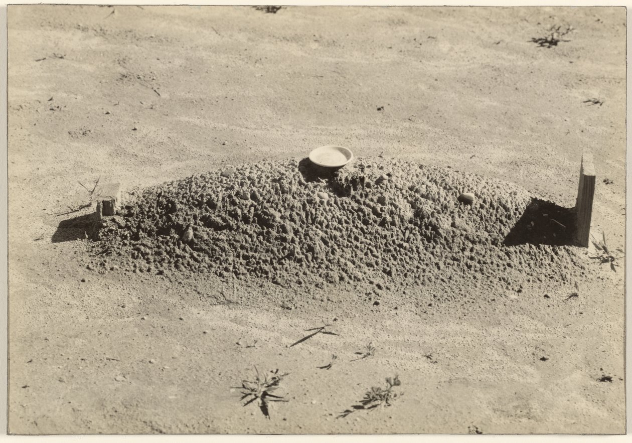 En baptistgrav, Hale County, Alabama af Walker Evans