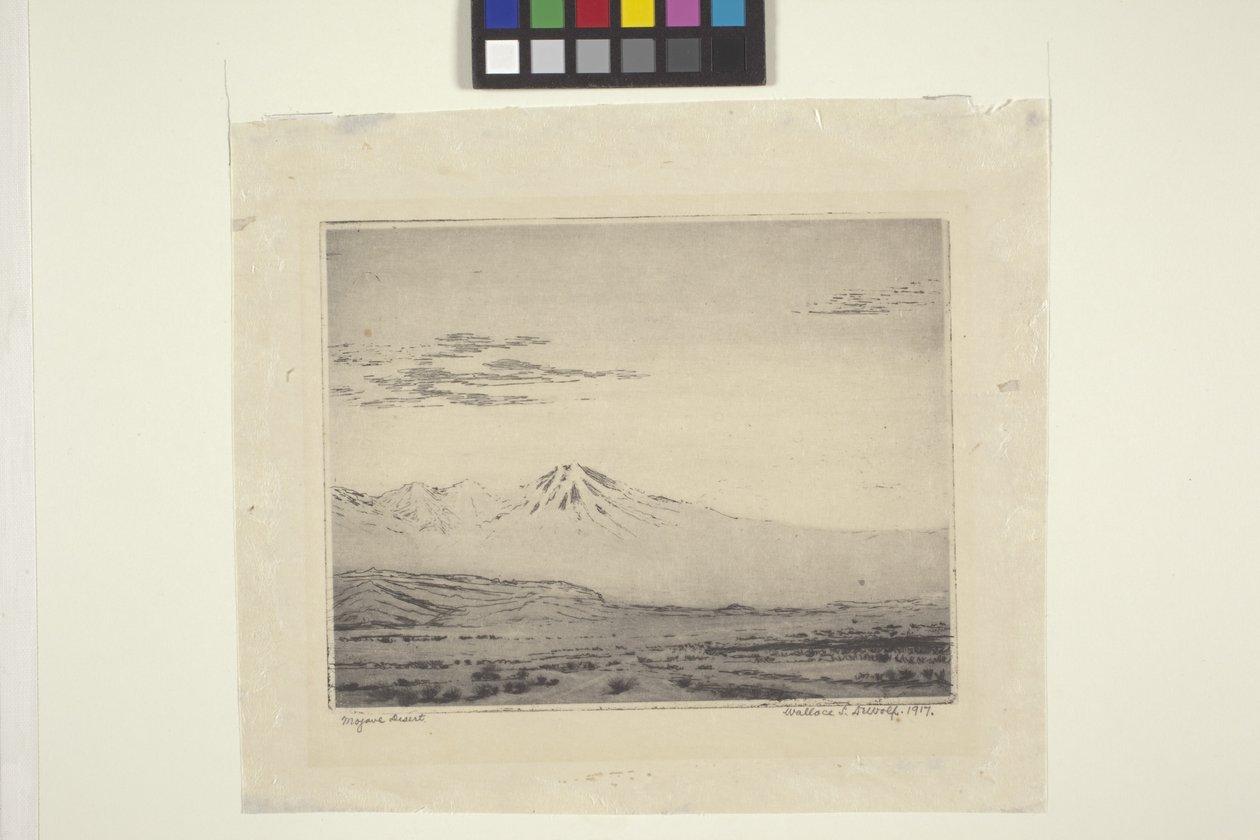 Mojave-ørkenen af Wallace Leroy DeWolf