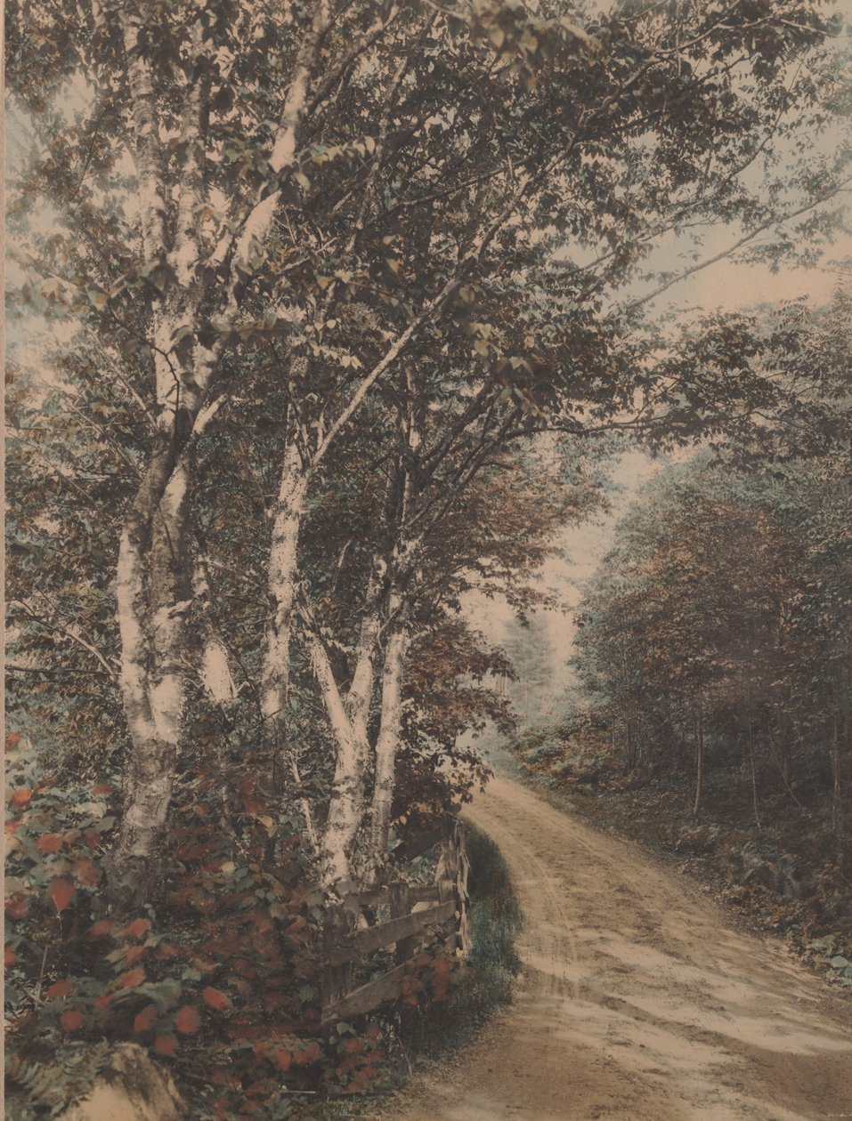 Westmore Drive af Wallace Nutting