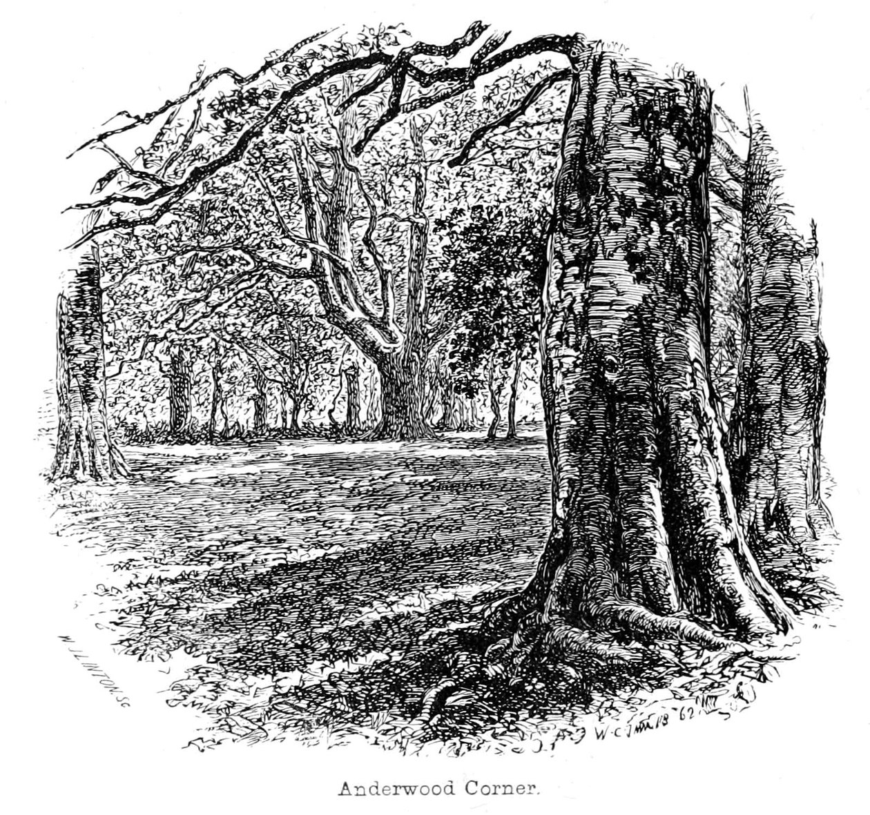 Anderwood Corner af Walter Crane