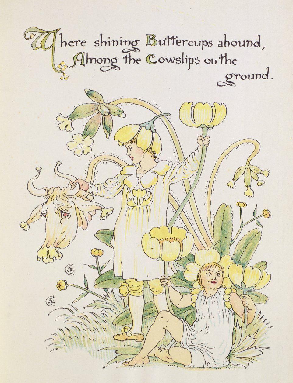 Smørblomsten og kosedlen fra 