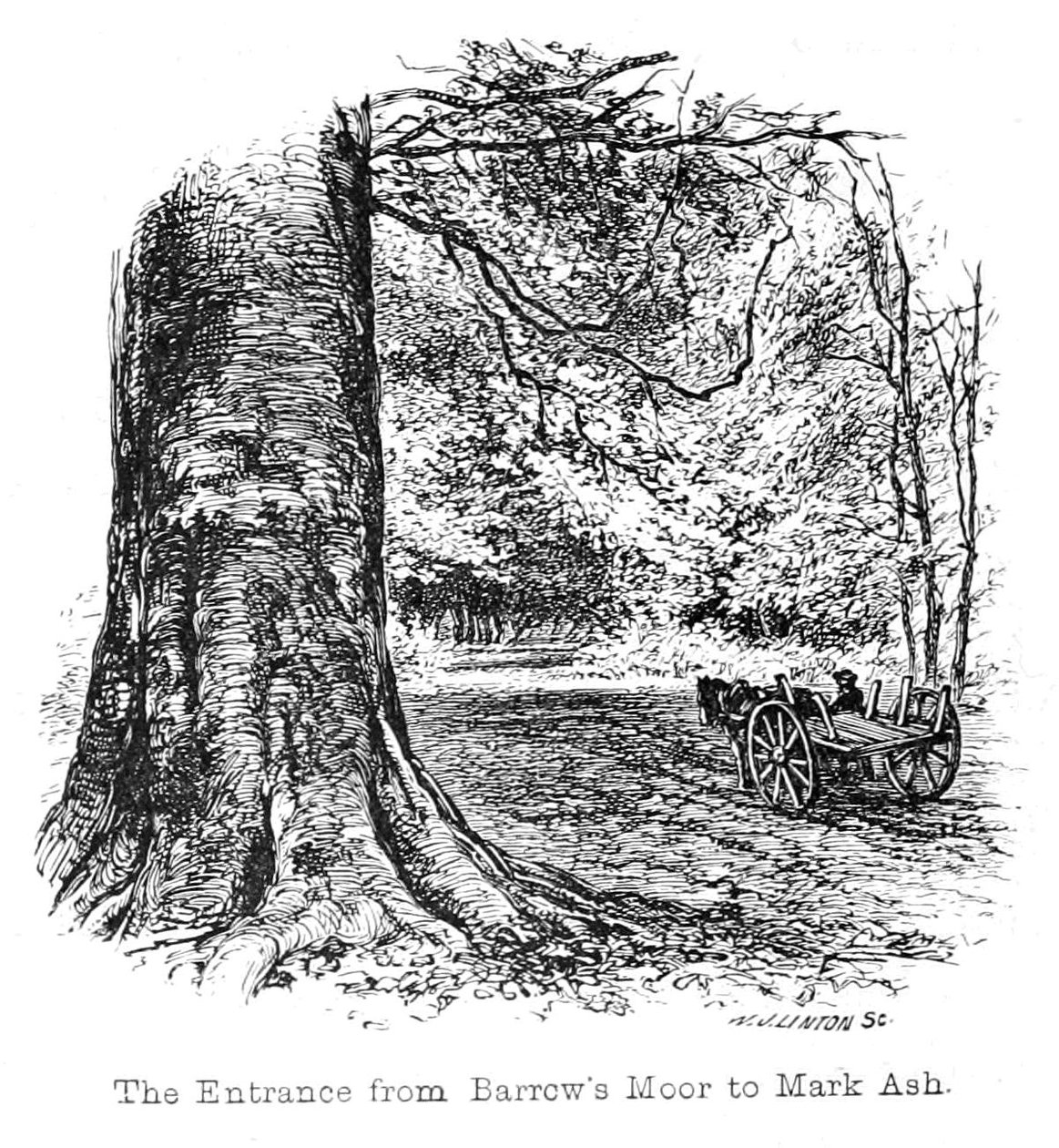 Indgangen fra Barrows Moor til Mark Ash af Walter Crane