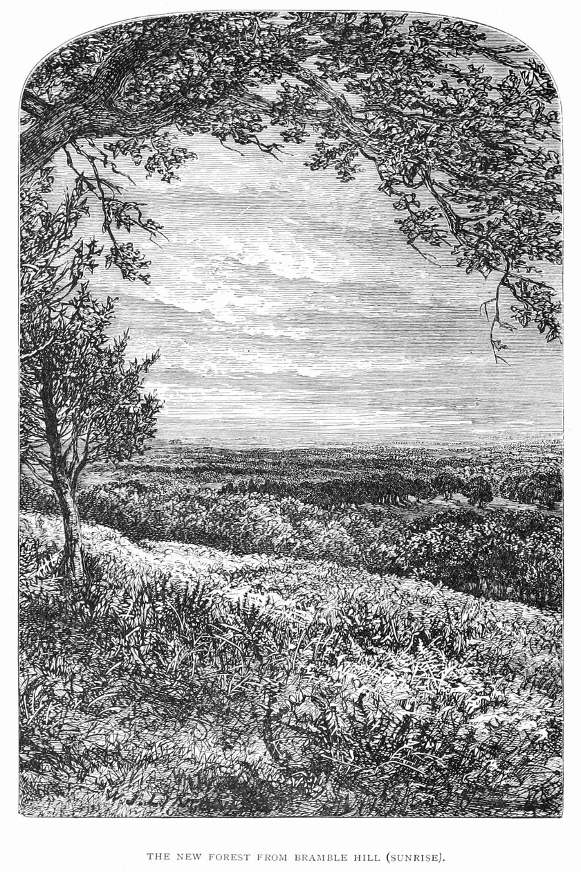 Nyskovens historie og natur af Walter Crane