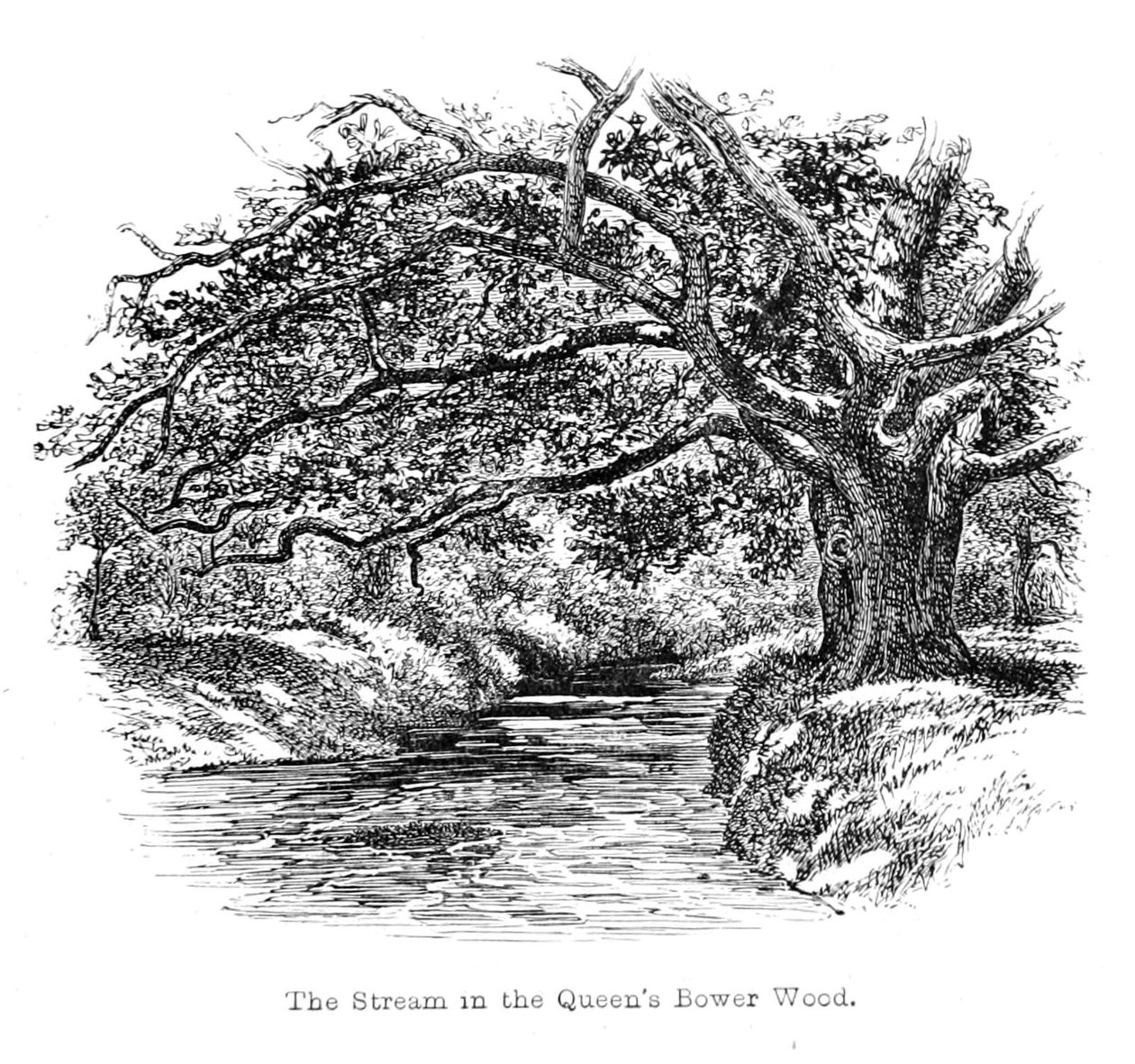 Strømmen i Queens Bower Wood af Walter Crane