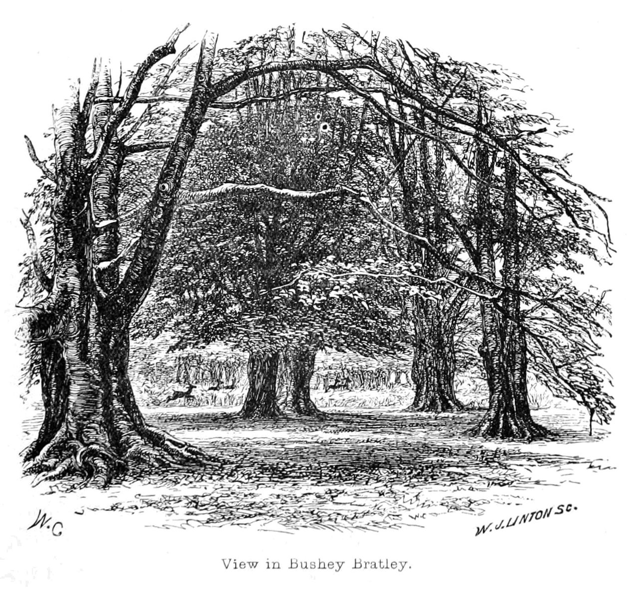 Udsigt i Bushey Bratley af Walter Crane