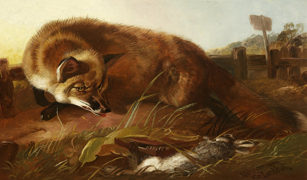Ræv, ca. 1880 af Walter Harrowing