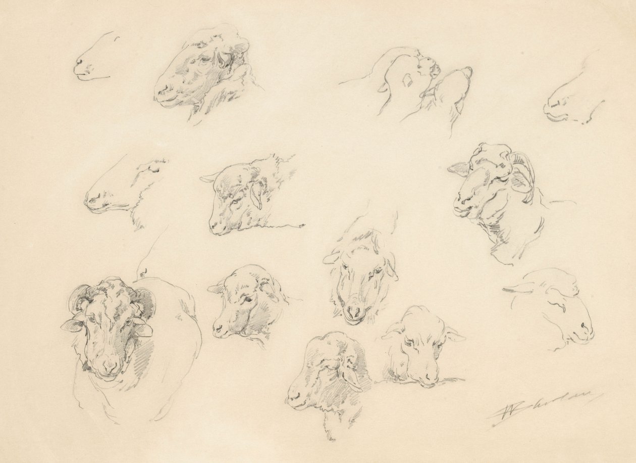 Studie af fårehoveder, 1877 (grafit på gulfarvet papir) af Walter Shirlaw