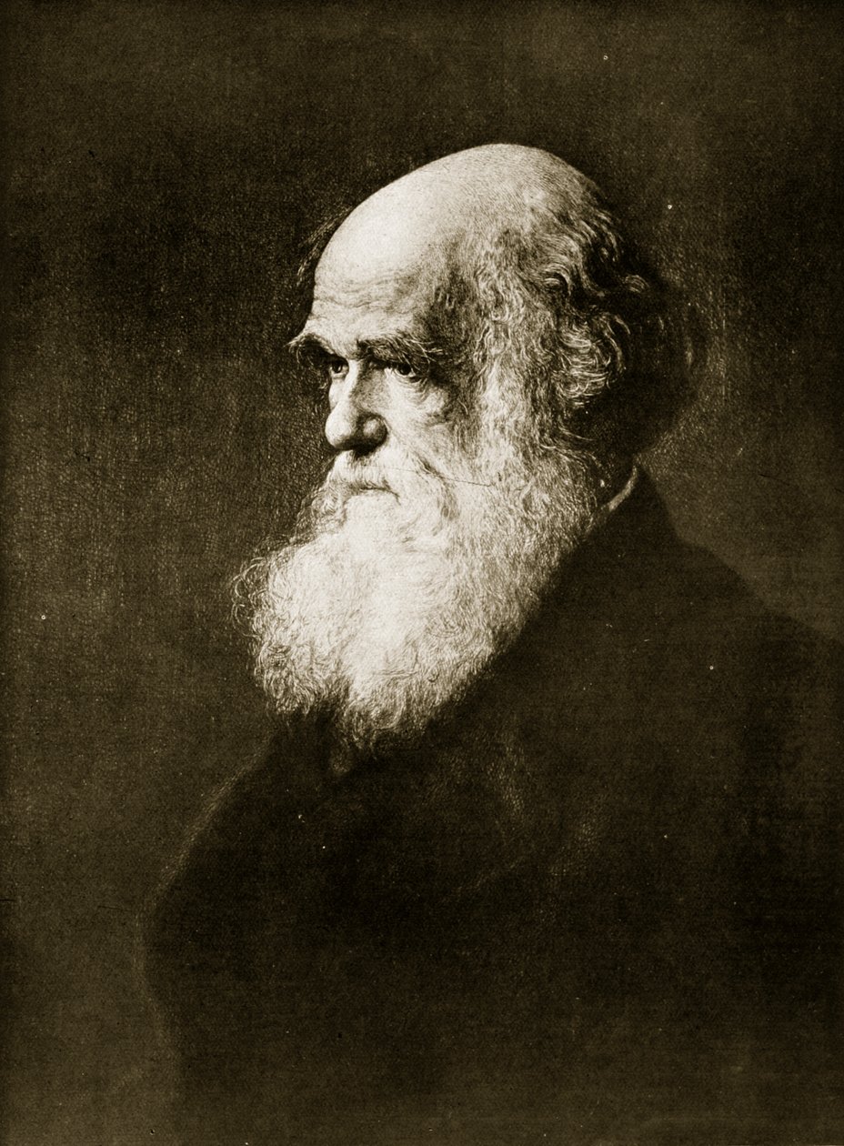 Charles Darwin, print efter maleri af W. W. Ouless, illustration fra 