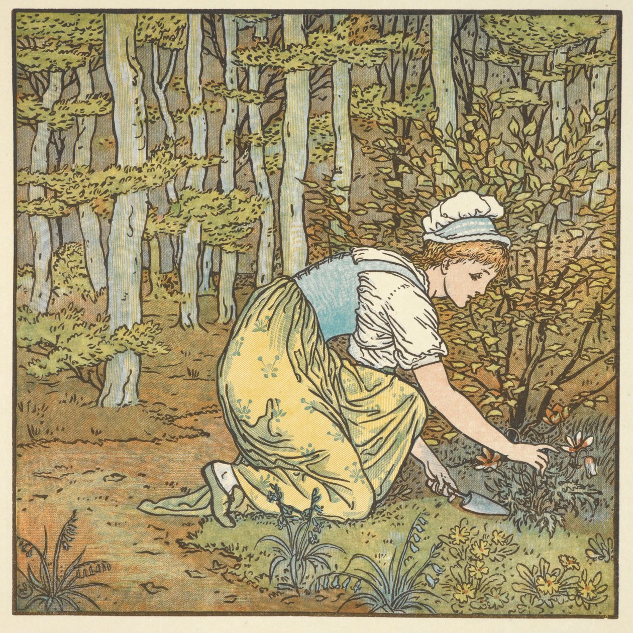 Farveillustration til 