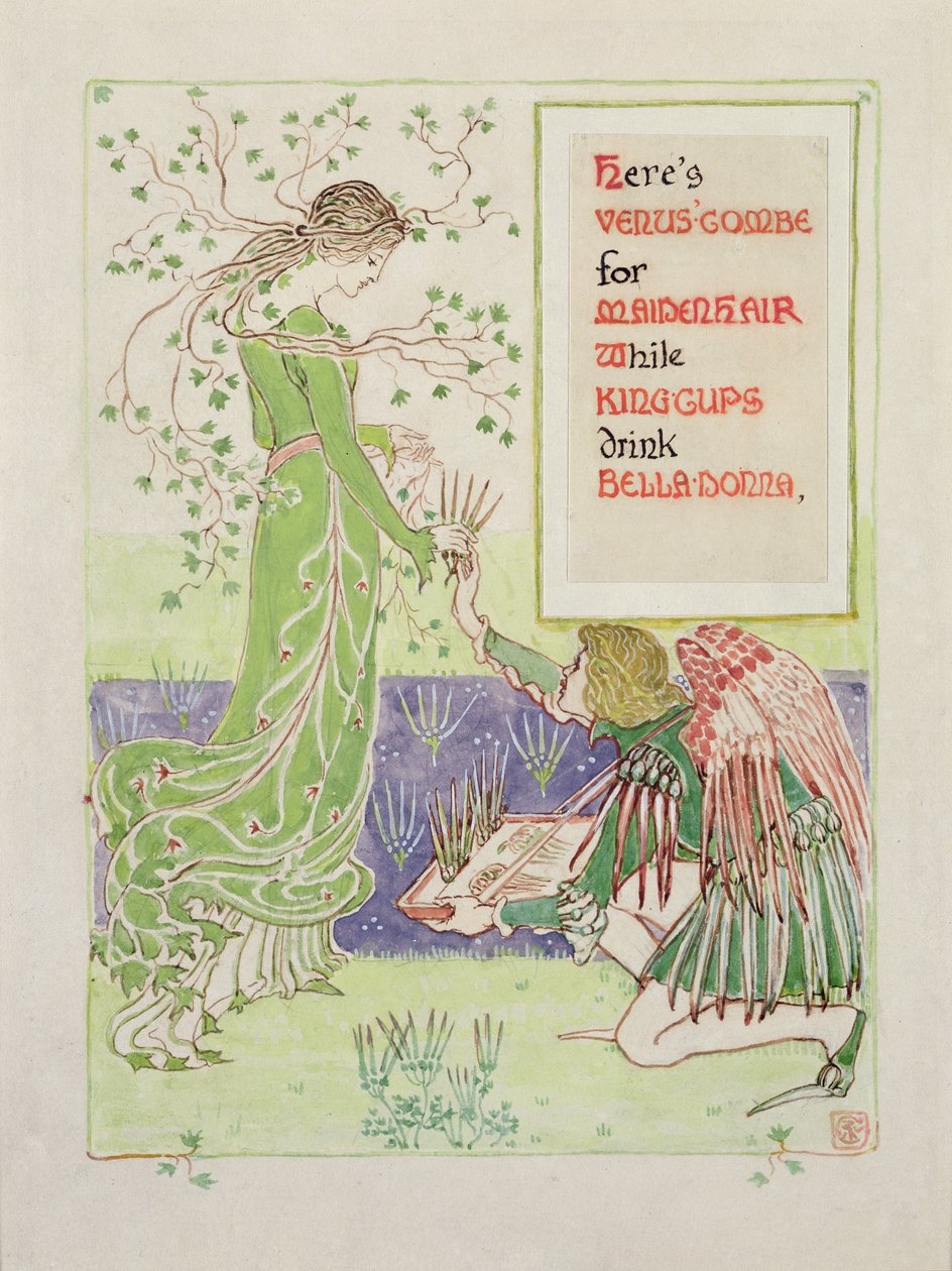 Her er Venus