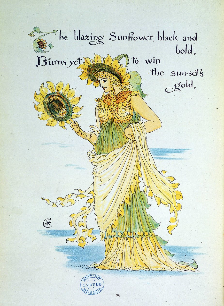 Solsikkeblomsten (solen) personificerer i en ung kvinde klædt i gult og grønt. Tavle 36 fra ""Flora