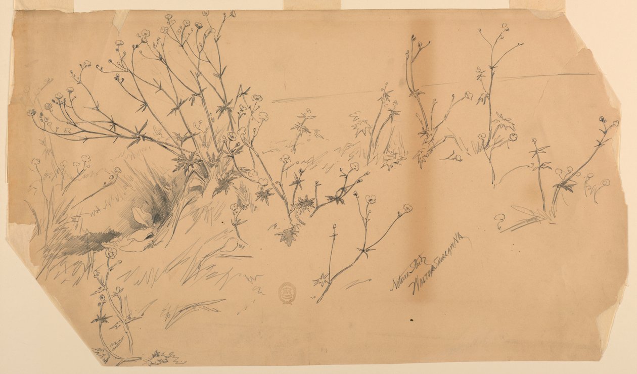 Naturstudie af Walter Shirlaw