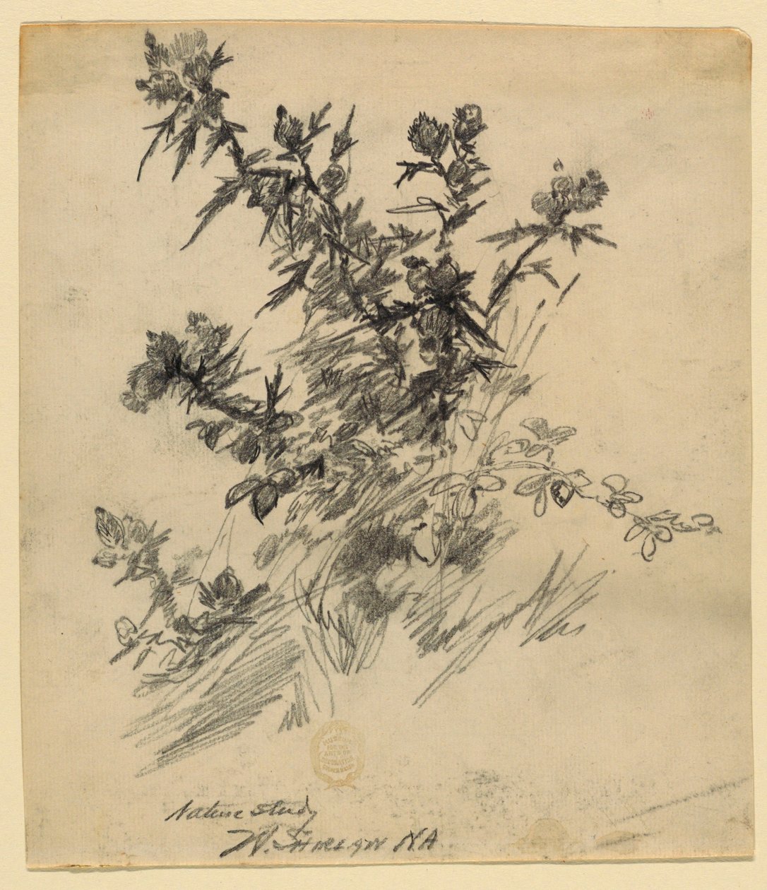 Naturstudie af Walter Shirlaw