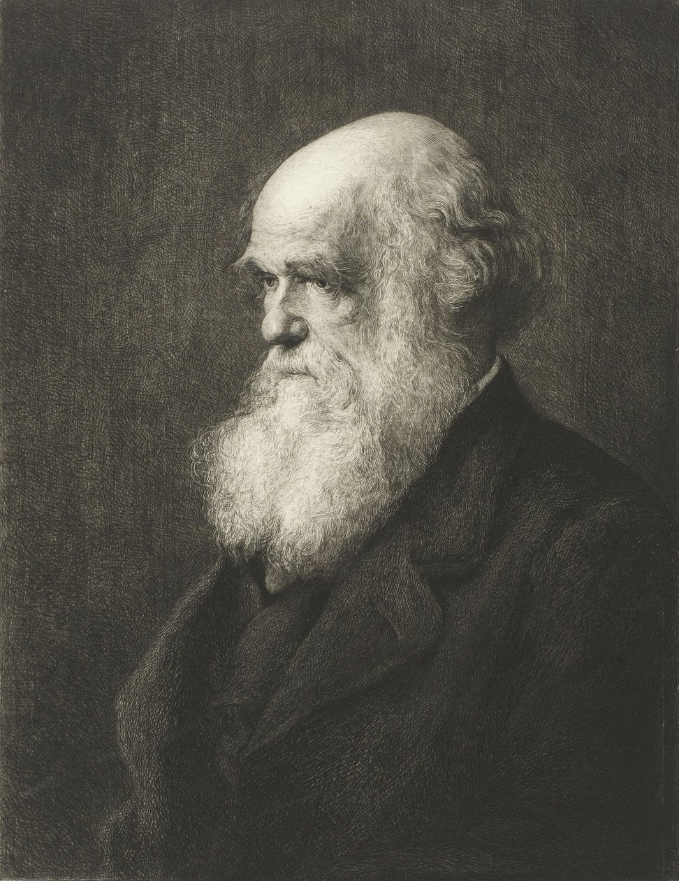 Charles Robert Darwin (gravering) af Walter William (after) Ouless