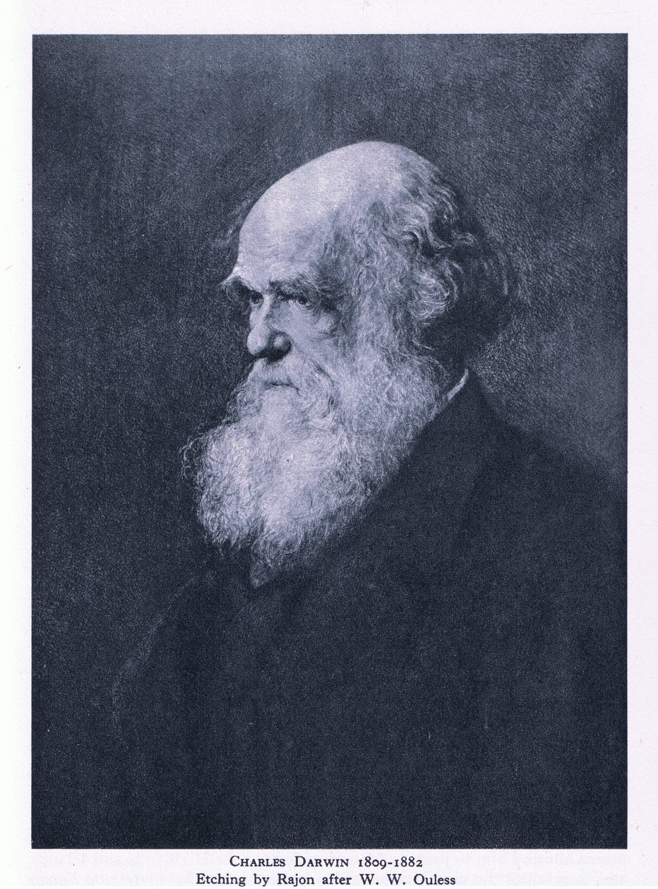 Radering af Charles Darwin, Nature in Britain udgivet af Collins af Walter William (after) Ouless