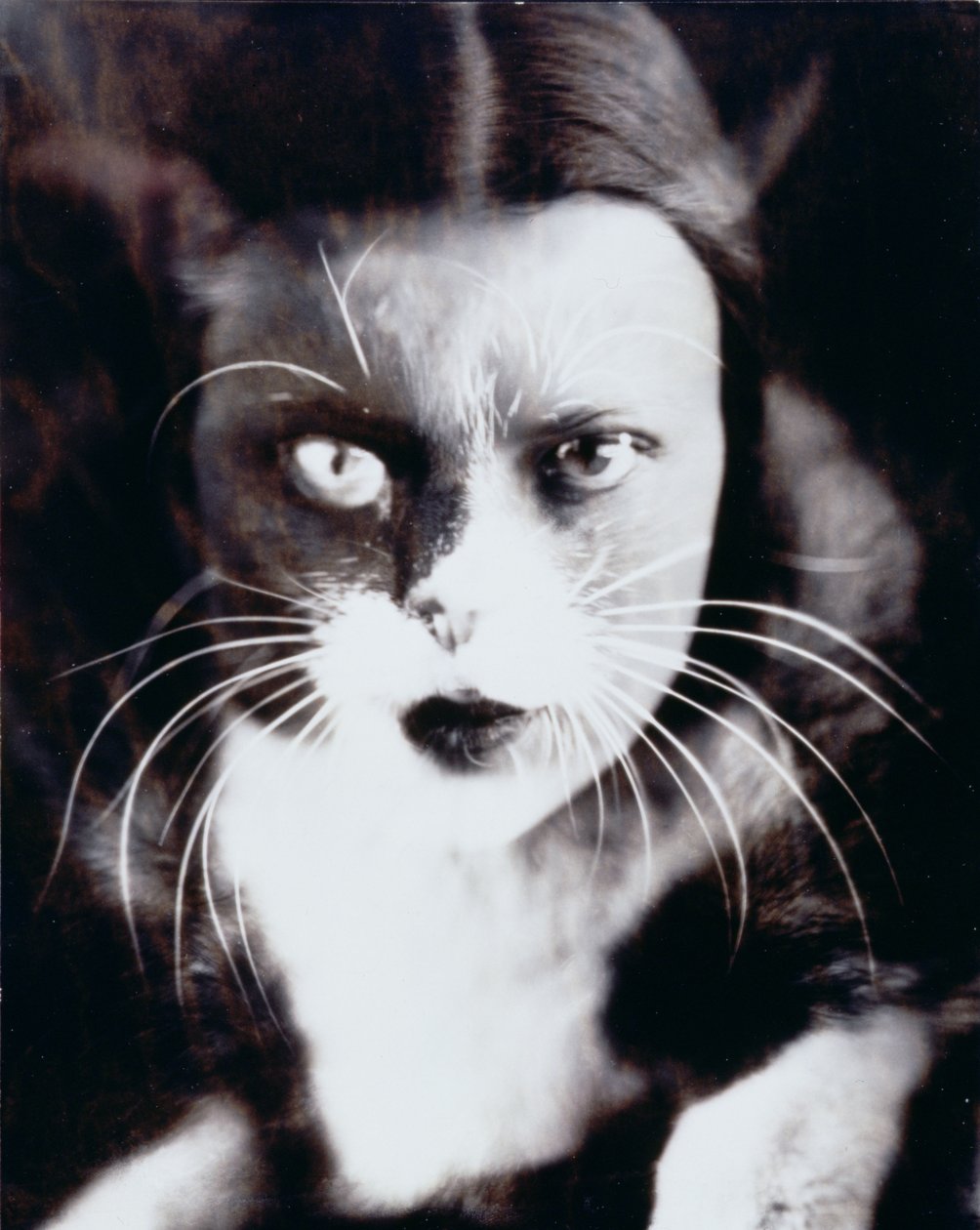 Katten og jeg af Wanda Wulz