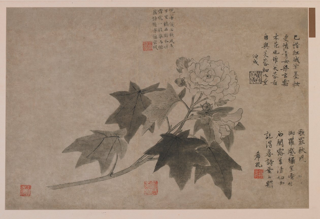 Hibiscus, 1347. af Wang Yuan