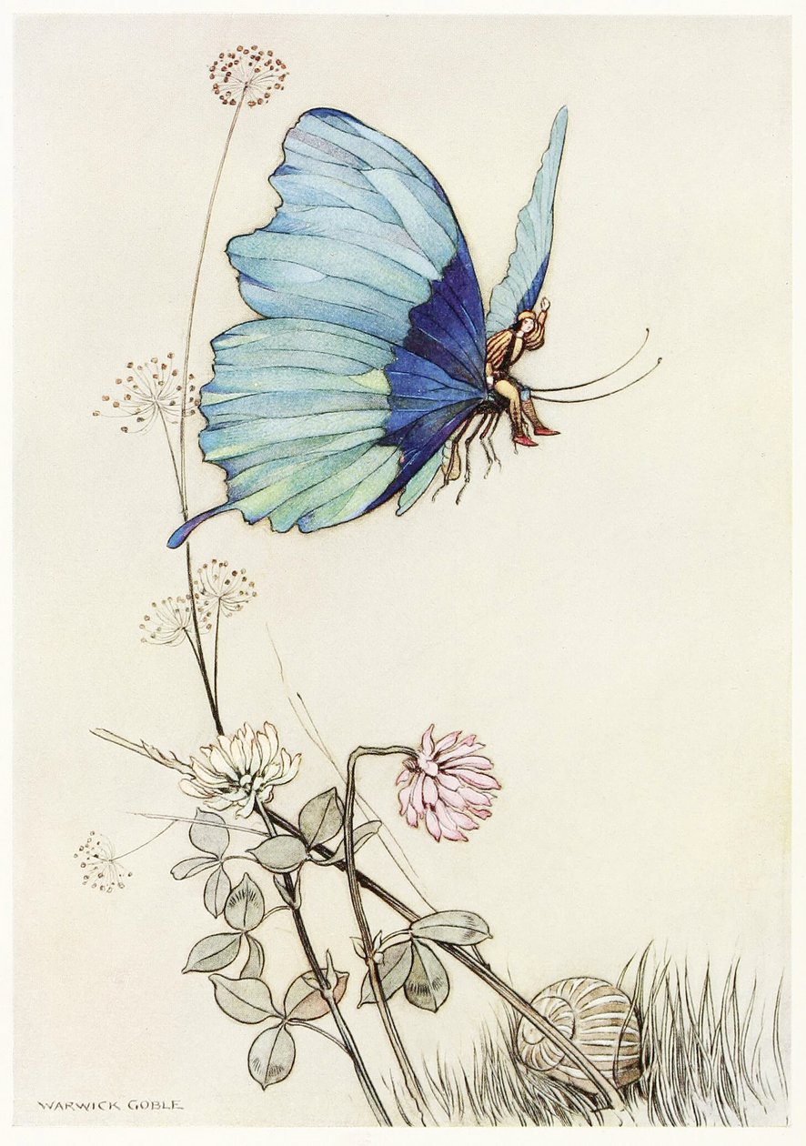 Sommerfuglen tog vinge og satte sig op i luften med lille Tom på ryggen, fra The Fairy Book, pub. 1913 af Warwick Goble