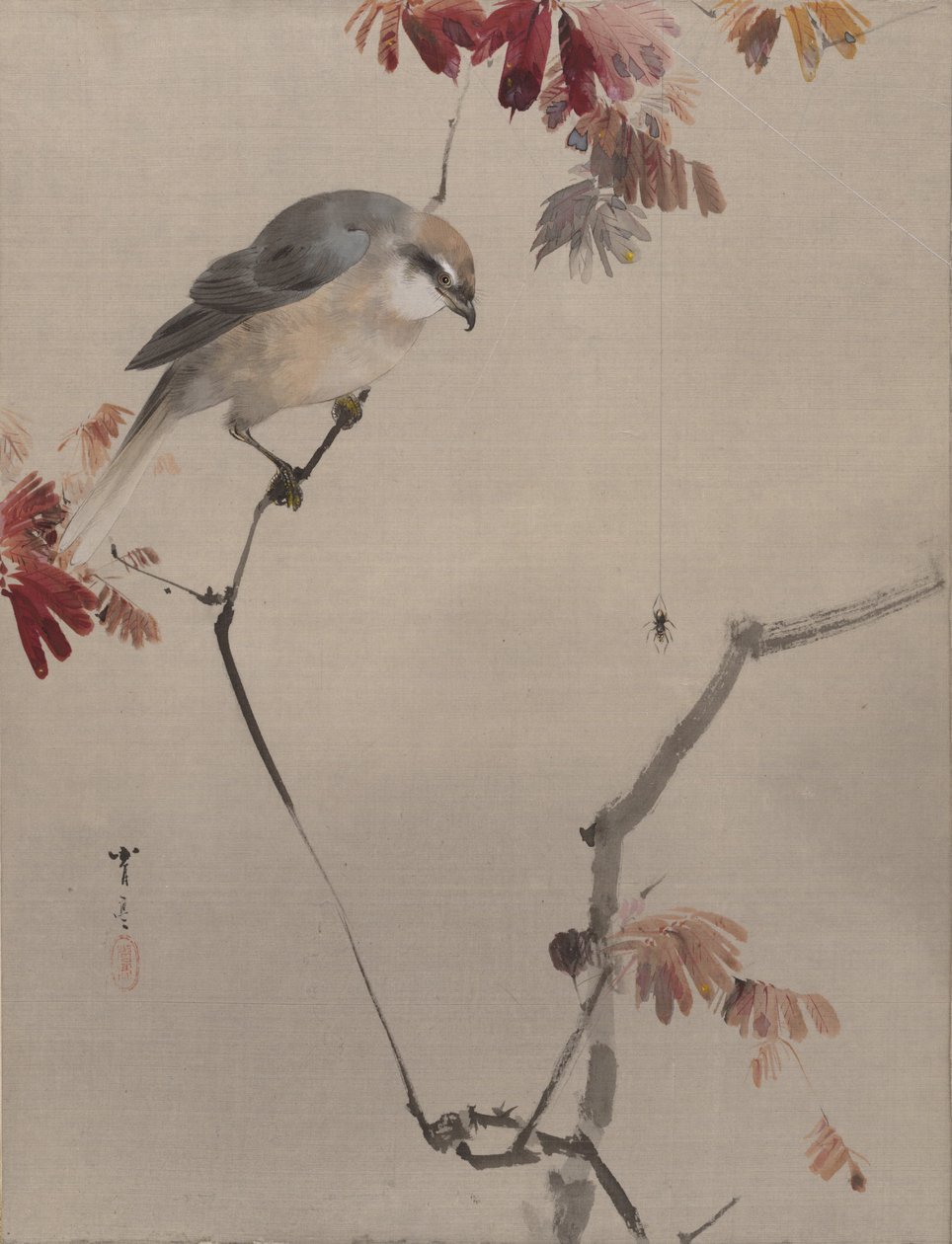 Bird on Branch Watching Spider, ca. 1887. af Watanabe Seitei