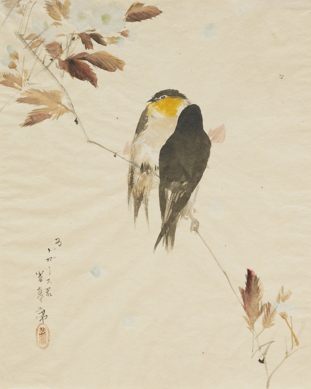 Fugle på en gren, 1871-1917 af Watanabe Seitei