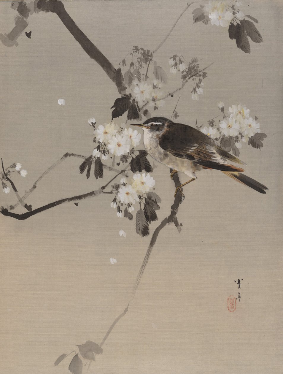 Fugle på en blomstrende gren, ca. 1887. af Watanabe Seitei
