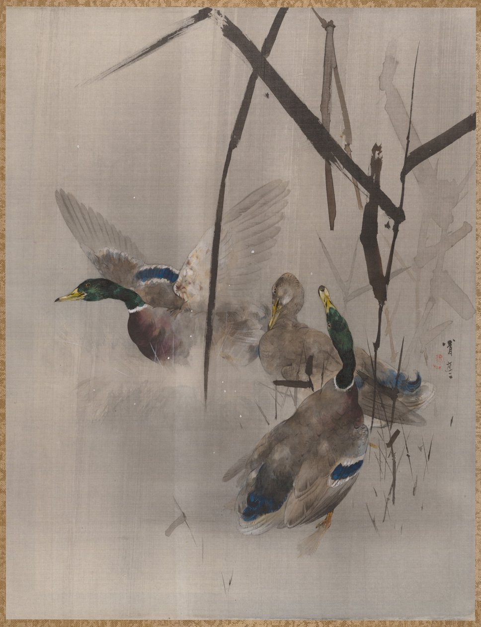 Ducks in the Rushes, ca. 1887. af Watanabe Seitei