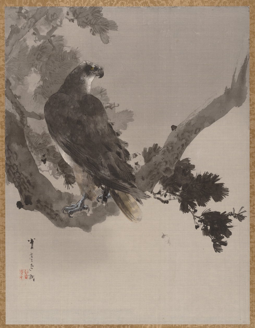 Ørn i et træ, ca. 1887. af Watanabe Seitei
