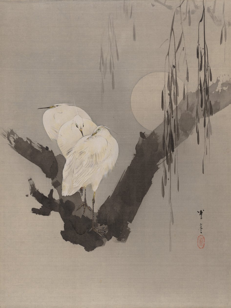Egrets i et træ om natten, ca. 1887. af Watanabe Seitei