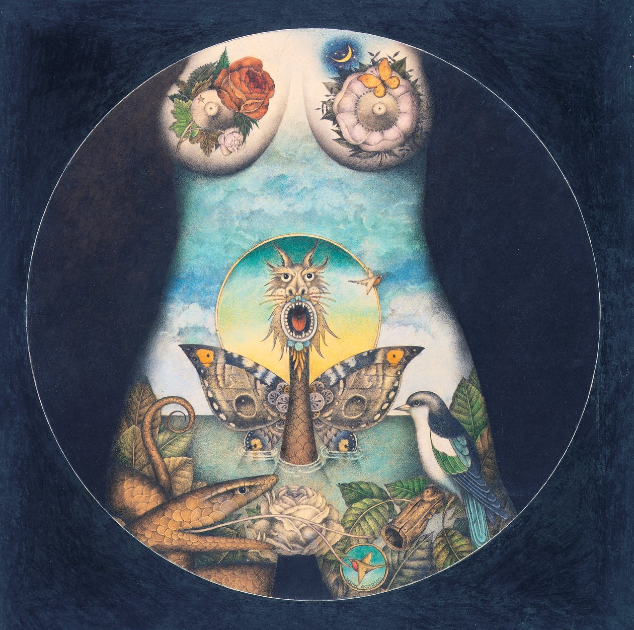 IRIZUMI af Wayne Anderson