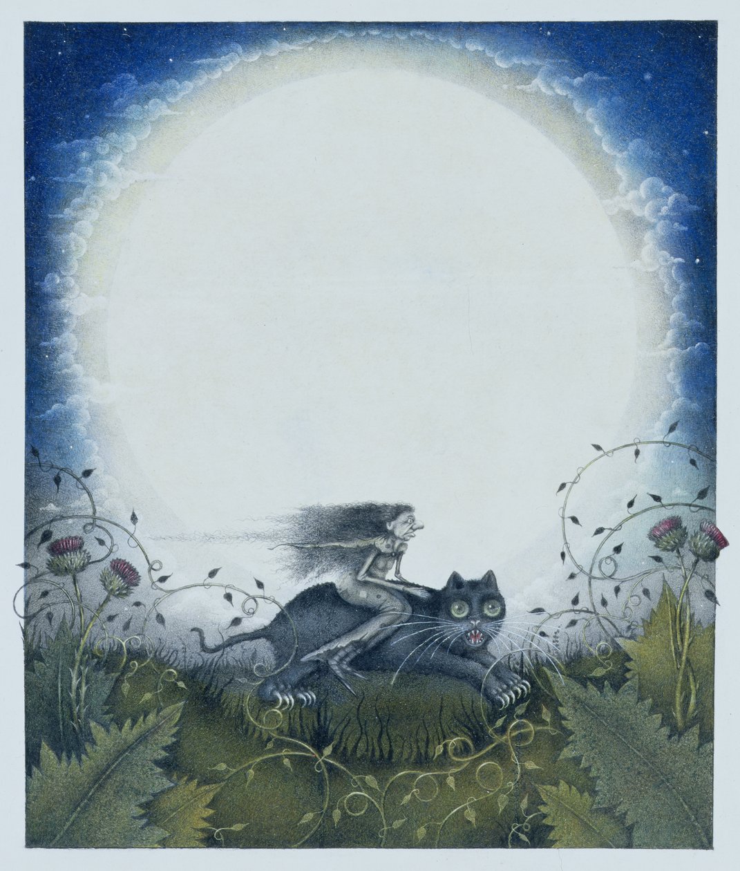 Scottish Witch on a Black Cat (blyant og farvekridt på papir) af Wayne Anderson