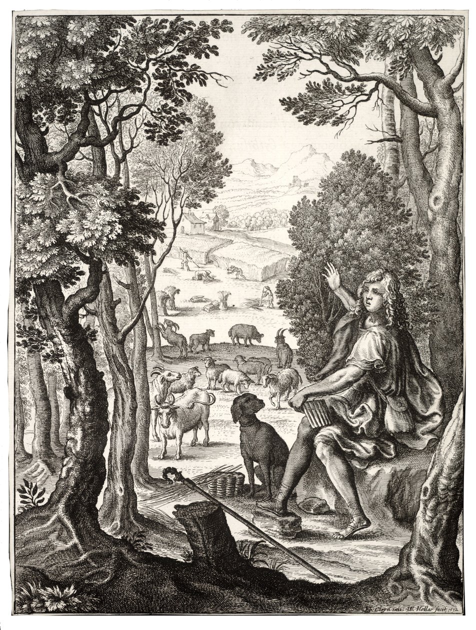 Alexis af Wenceslaus Hollar