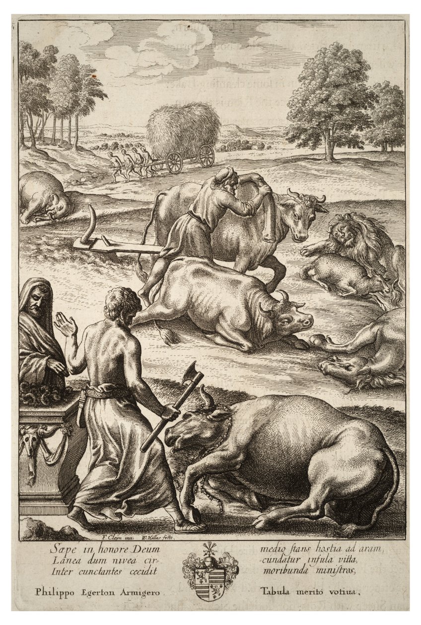 Kvægpest. Stat 2 af Wenceslaus Hollar