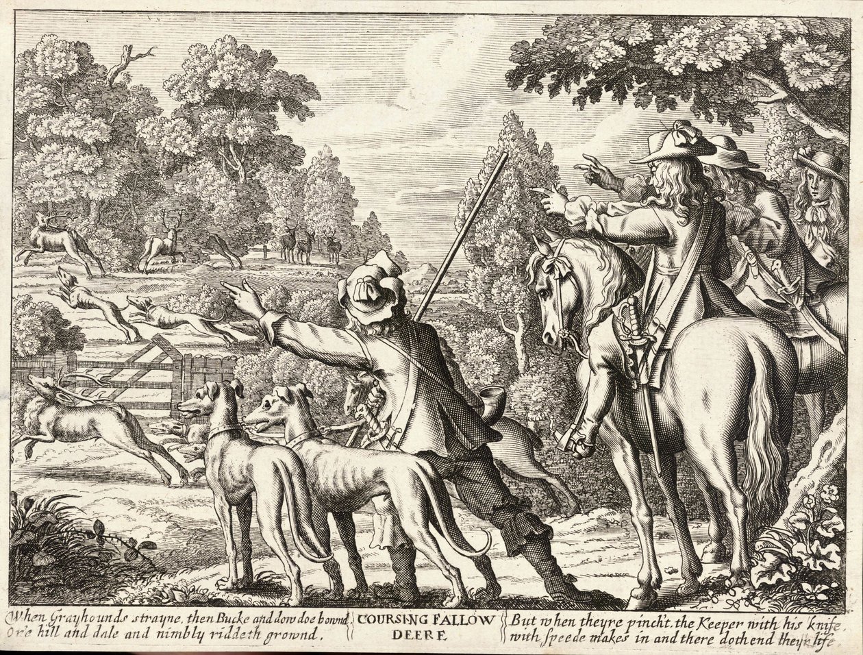 Coursing dådyr af Wenceslaus Hollar