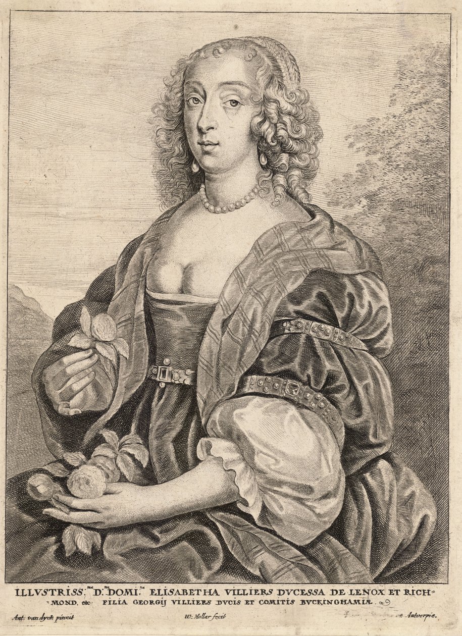 Hertuginde af Lennox, efter van Dyck. Stat 5 af Wenceslaus Hollar