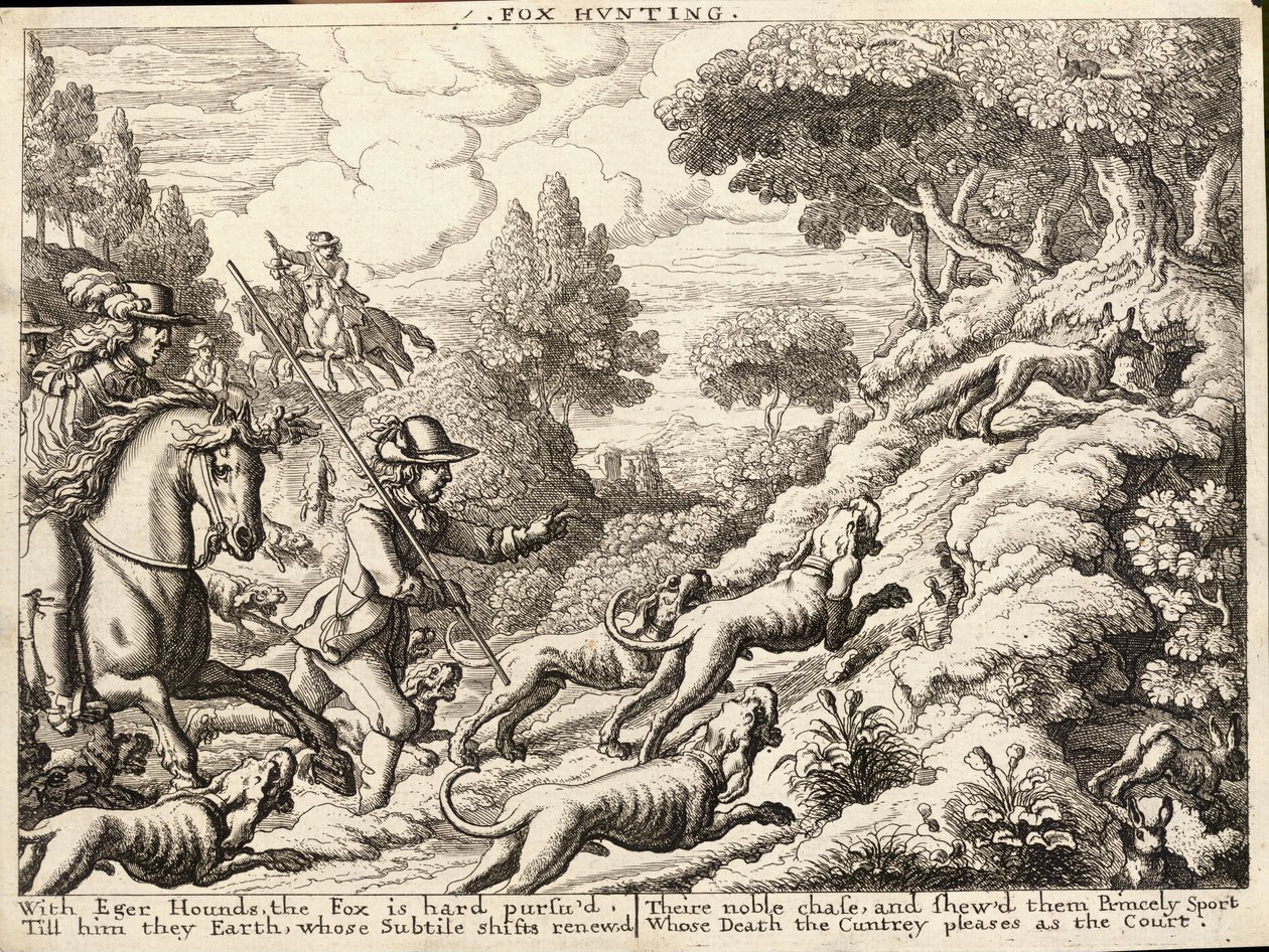 Rævejagt af Wenceslaus Hollar