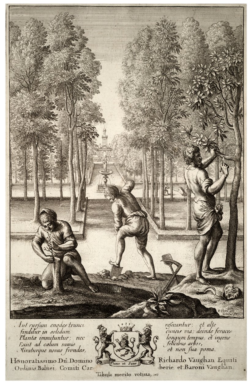 Havearbejde. Stat 1 af Wenceslaus Hollar