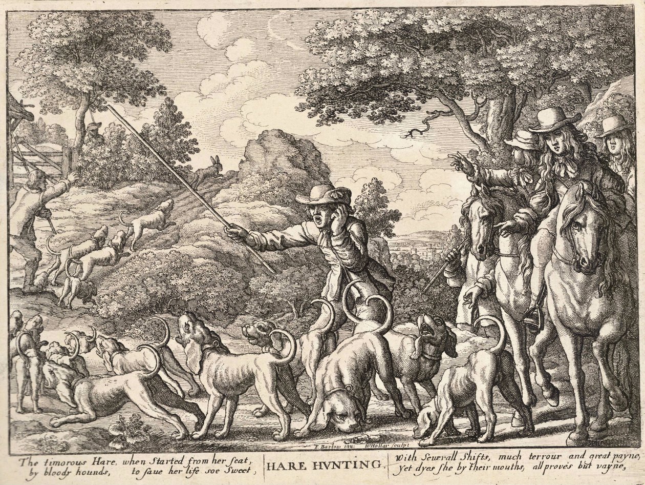 Harejagt af Wenceslaus Hollar