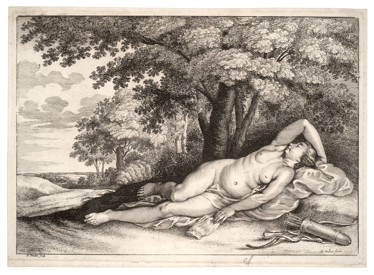 Sovende jæger. Stat 2 af Wenceslaus Hollar
