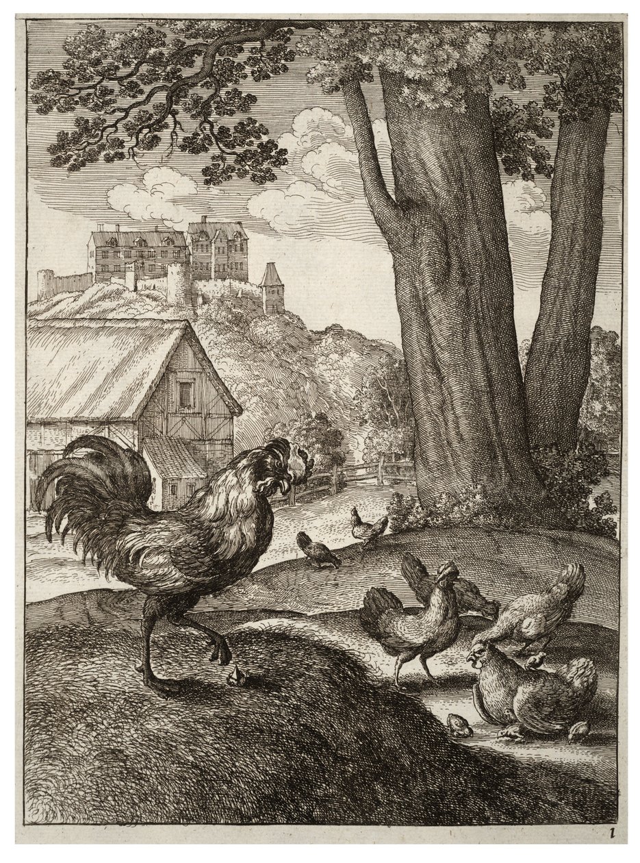 Hanen og juvelen af Wenceslaus Hollar