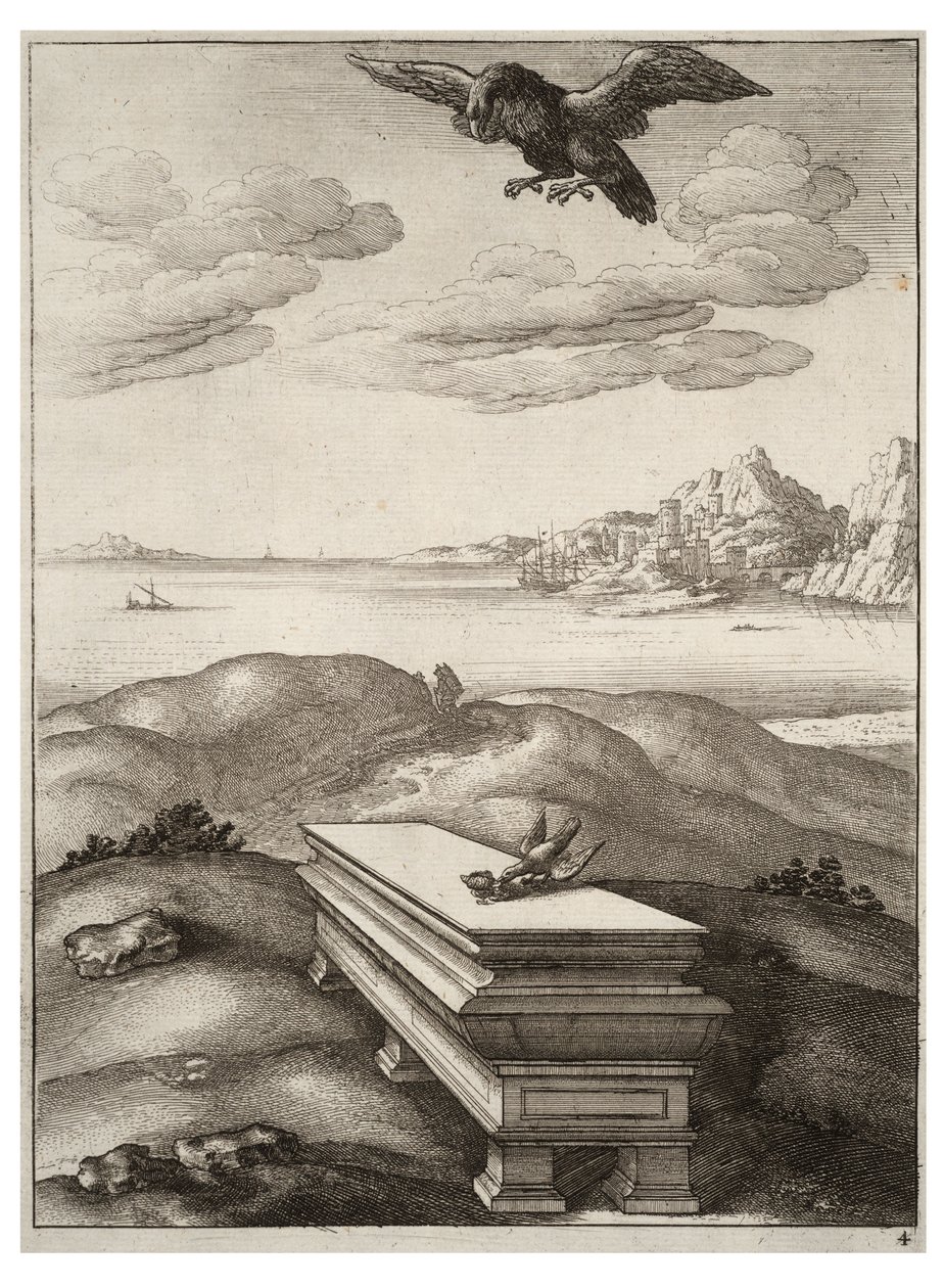 Ørnen og daw af Wenceslaus Hollar