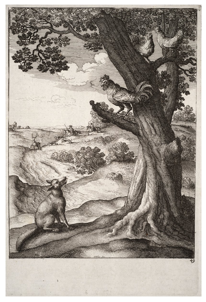 Ræven og hanen af Wenceslaus Hollar