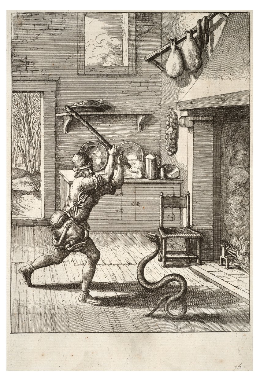 Manden og slangen af Wenceslaus Hollar