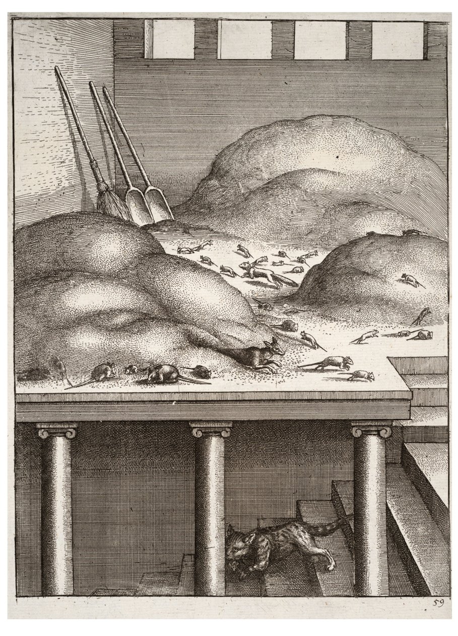 Den gamle væsel og musene af Wenceslaus Hollar