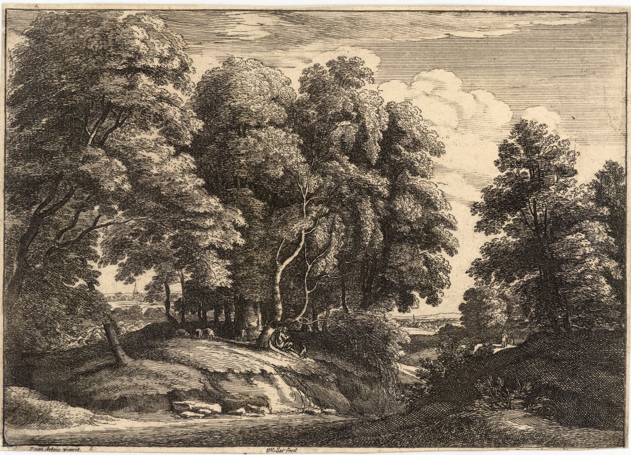 Hyrden i skoven af Wenceslaus Hollar